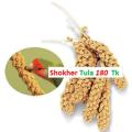 Millet Spray for Birds Cockatiel Lovebird Parakeet Finch Canary All Parrots Healthy Treat - Small Quantity. 