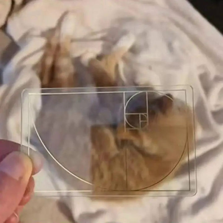 Golden%20Ratio%20Viewfinder%20Viewfinder%20Art%20Tool%20Golden%20Ratio%20Viewfinder%20Golden%20Ratio%20Viewfinder%20Clear%20Golden%20Section%20Viewer%20View%20-%20Image%204