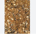 Premium Quality Pigeon mixture food 1 kg. 