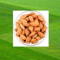 Premium quality Kath badam / কাঠ বাদাম 500 gm Imported From USA. 