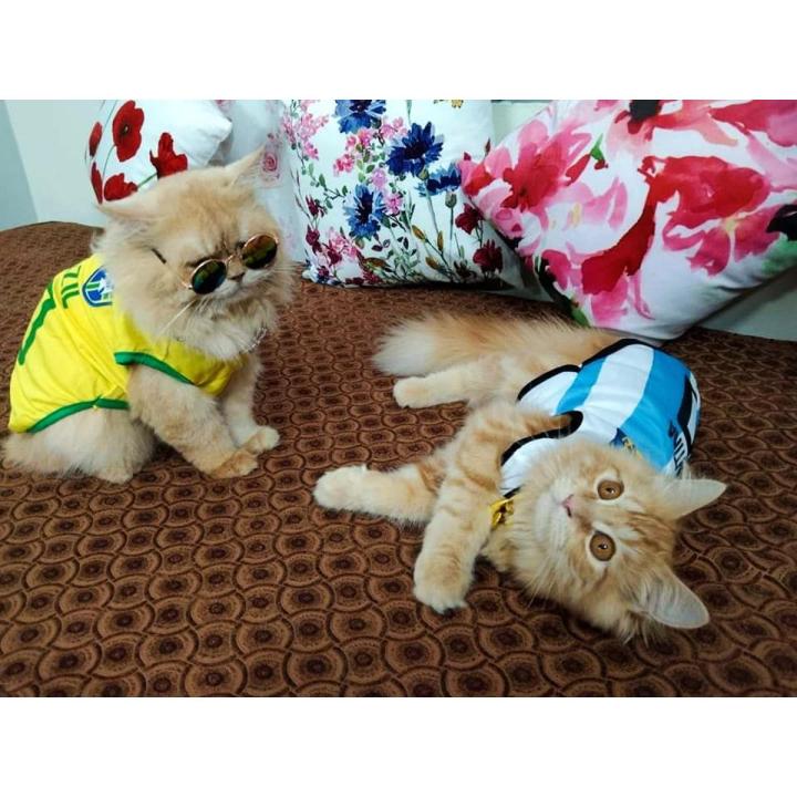 Dog Cat Mesh Vest Pet World Cup Football Jersey Yellow 10