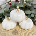 1/3/6Pcs Small Artificial Pumpkins Decor Foam Pumpkin Harvest Pumpkin For Autumn Fall Wedding Thanksgiving Halloween Table Decor. 