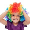 Clown Costume Clown Wig Clown Nose Accessories Bow Tie White Gloves.