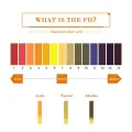 3 set 240 Strips Professional 1-14 pH litmus paper ph test strips water cosmetics s pH Test Paper Strips with control card. 