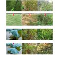6Inches Steel Grass Trimmer Head 6-Cutter Brushcutter Wire Weed Blade. 