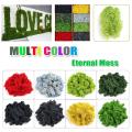 Natural Decoration Norwegian Reindeer Moss Preserved Dried Craft Flower 500g Box.