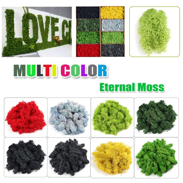 Natural Decoration Norwegian Reindeer Moss Preserved Dried Craft Flower 500g Box