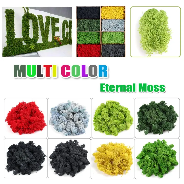 Natural Decoration Norwegian Reindeer Moss Preserved Dried Craft Flower 500g Box