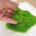 Natural Look Artificial Moss Powder for Bonsai and Miniature Garden Decor, 50Gm - Home Decoration Item. 