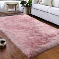 Soft Fluffy Rugs Floor Mats For Living Rooms. 