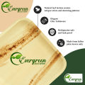 Areca Leaf 10x6 Inch Disposable Bamboo Plates 6 Pcs Like Party Pack Compostable and Biodegradable - Better than Plastic and Paper.