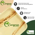 Areca Leaf 10x6 Inch Disposable Bamboo Plates 12 Pcs Like Party Pack Compostable and Biodegradable - Better than Plastic and Paper. 