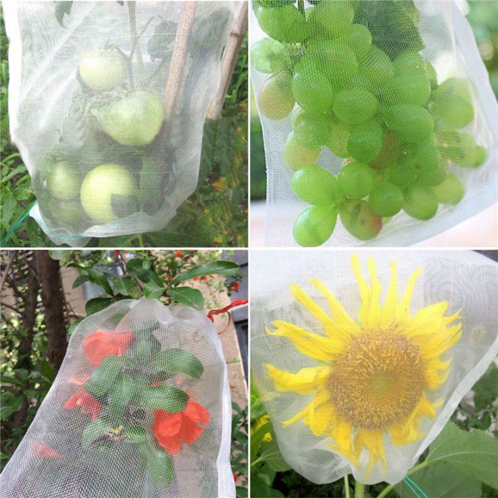 10 PCS Fruit Garden Nylon Protection Bag Insect-proof protection Bag Insect Mesh Net for Anti Insect