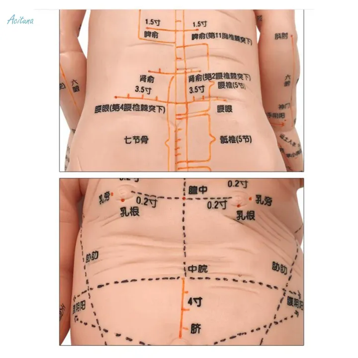 Infant%20Kid%20Acupuncture%20Point%20Massage%20Model%20Human%20Body%20Baby-sitter%20Nurse%20Tool%20-%20Image%205