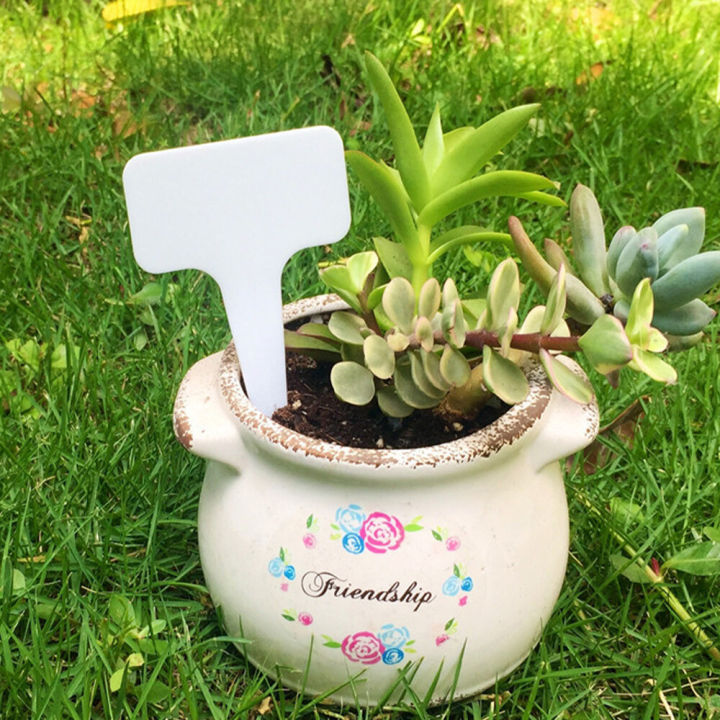100PCS%20garden%20classification%20label%20Plastic%20writing%20board%20T-type%20waterproof%20flower%20label%20-%20Image%206