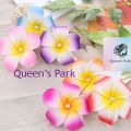 Kathgolap Multicolor Bobby Pin Set - 6 Pcs Hair Clips for Women. 