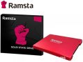 240GB S800 SSD RAMSTA 2.5 SATA: Boost Your Computer's Performance - Faster Speeds, More Storage-a Unique Choice For Your Needs. 