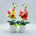 Artificial istic cro Lape Artificial Butterfly Orchid. 