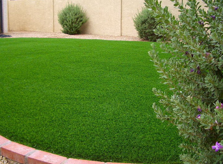 1000%20pcs%20intact%20F-1%20hybrid%20lawn%20grass/carpet%20grass%20seeds%20(intact%20packet)%20-%20Image%203