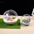 Terrarium Centerpiece Container for Home Decor Party Garden Diameter 15cm.