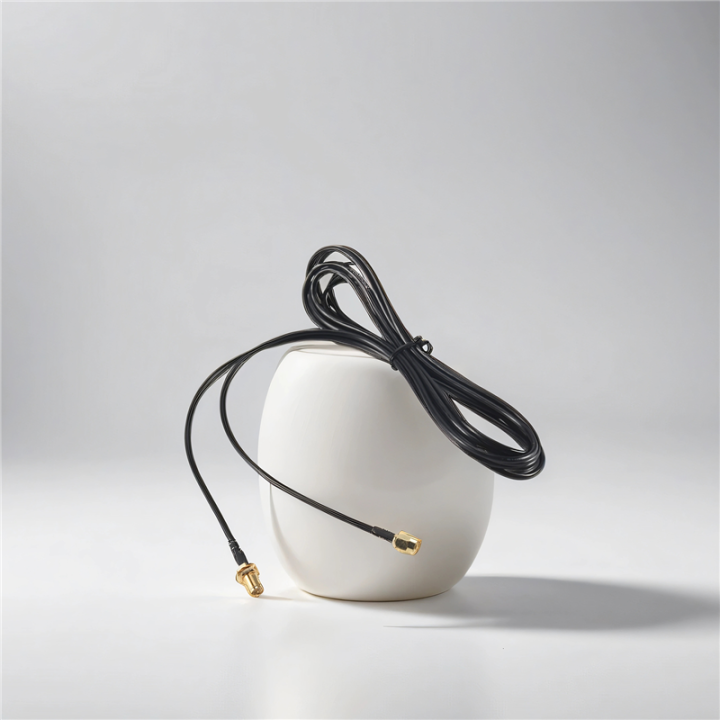 WiFi%20WAN%20Router%20Wi-Fi%20Antenna%20Extension%20Cable%20RP-SMA%20-%20Image%205