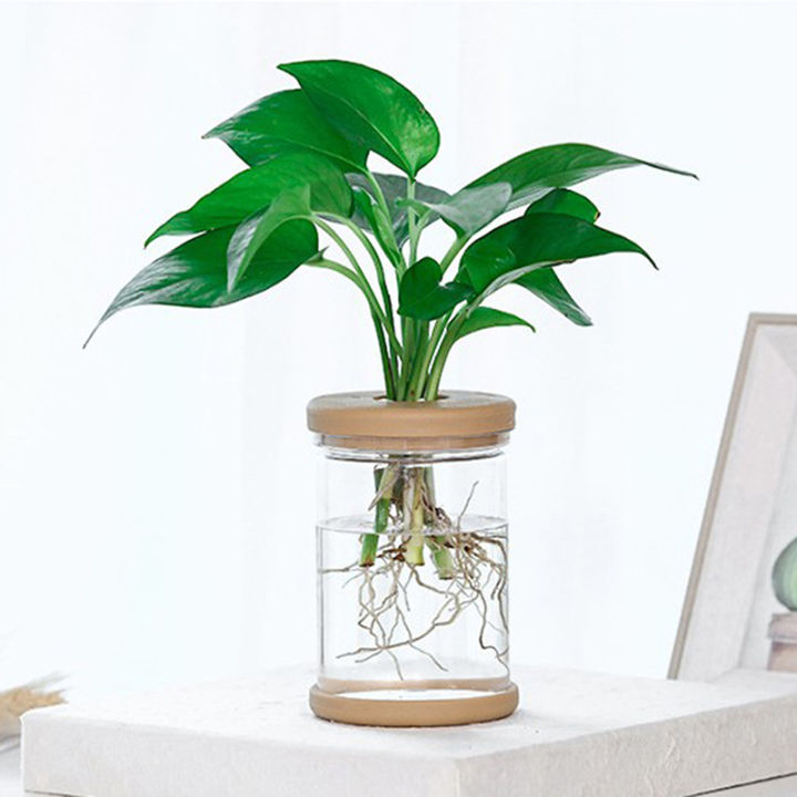 Transparent%20Flower%20Pot%20Hydroponic%20Automatic%20Water%20Absorption%20Plastic%20Flower%20Pot%20Sunlight%20Mall%20-%20Image%204