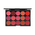 Non-Sticky Cup Matte Lipstick Palette Waterproof Moisturizing 15 Color Lip Gloss Palette Nude Pink Red Lips Makeup Tool. 