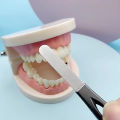 Stainless Steel Teeth File Tooth Grinding Tools Wisdom Tooth Sandpaper Stick Dental Correction Tools Tooth Alignment Demoo. 