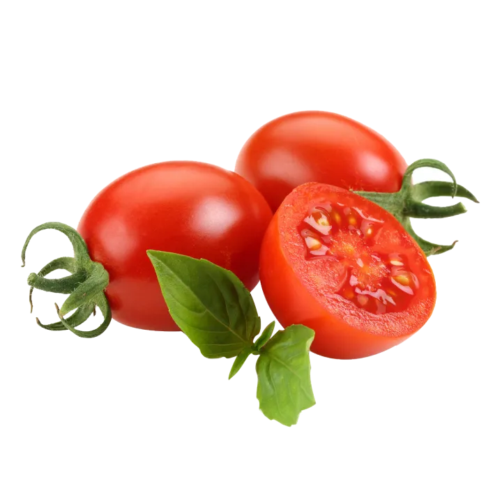 All%20Season%20Ratan%20Tomato%20Beez%2010pcs%20HYBRID%20-%20Image%202