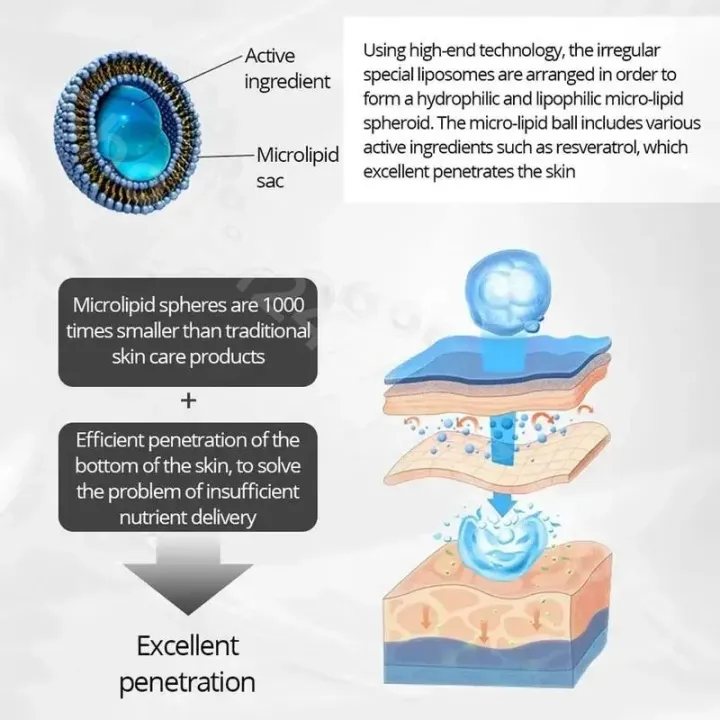 Green%20Tea%20Nourishing%20Day%20and%20Night%20Cream%20Set%20Natural%20Activity%20Greentea%20for%20Women%20Face%20-%20Image%203