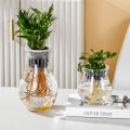 Mini Hydroponic Flower Pot Fish Tank Transparent Plastic Soilless Plant Pots Podazz. 