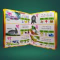 Chotto Sonamonider Bornomala Porichoy  | The First Book For Children And General Knowledge Book Set For Your Children And Kids Books Abc,Children Kids Serise Book. 