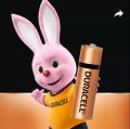 Duracell AA Alkaline Batteries, 10-Year Shelf Life, 2-Pack for RC Toys & Remote Control Devices. 