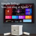 YS-213 100W high power wireless family party Bluetooth speaker portable dual microphone outlet karaoke subwoofer stereo boombox. 