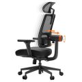NEWTRAL MAGICH002 Ergonomic Chair, Auto-Following Backrest, Adaptive Lower Back Support, Adjustable Headrest Seat Depth, 4D Armrest Recliner, 3 Positions to Lock. 