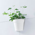 Wall Mounted Plastic Potted Plant Flowerpot Creative Wall Hanging Planter Semi Circular Small Flower Pot Wall Decoration Cologo.