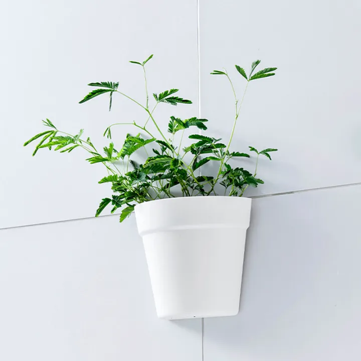 Wall%20Mounted%20Plastic%20Potted%20Plant%20Flowerpot%20Creative%20Wall%20Hanging%20Planter%20Semi%20Circular%20Small%20Flower%20Pot%20Wall%20Decoration%20Cologo%20-%20Image%206