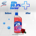 Lizol Disinfectant Floor & Surface Cleaner 500ml Floral, Kills 99.9% Germs. 