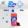 (Tiffin Box Free) Lizol Disinfectant Floor & Surface Cleaner 2 X 500ml Floral & Lavender.