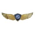 3D metal sign car hood angel emblem sticker fot MG ZS HS MG6 MG5 MG3 MG RX5 RX8 For MG,Car hood angel sticker. 