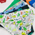 Pack of 5 Pcs Boys Assorted Multicolor Cotton Underwear Briefs With Fantasy Print From Levin. 