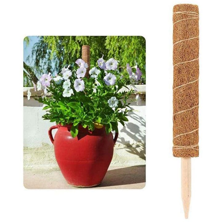 Extended%20Coir%20Moss%20Totem%20Pole,%20Coco%20Coir%20Poles%20Coconut%20Fibre%20Support%20Stake,%20Plant%20Support%20Pole%2012PCS%20-%20Image%207