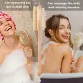 【VisioN Shop】CLPAIZI Dry Body Brush, Back Bath Brush for with 100% Natural Boar Bristle Brush & Long Handle D30. 