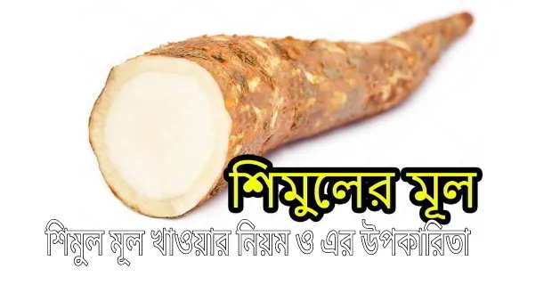 Shimul%20Powder%20-%20100%20gm/Shimul%20mul%20gura%20-%20Image%204