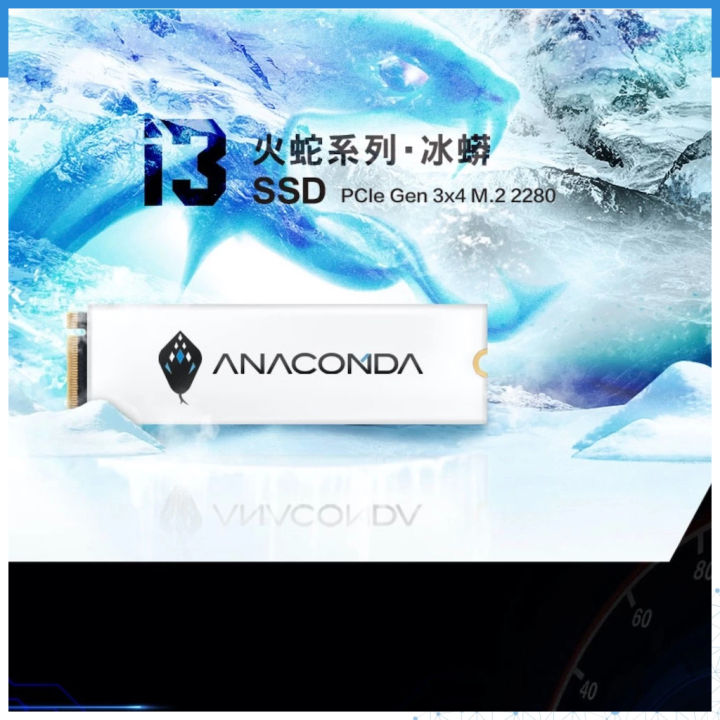 Anacomda%20256GB%20M.2%20NVMe%20PCIe%20Gen3x4%20Internal%20SSD%20-%20Image%203
