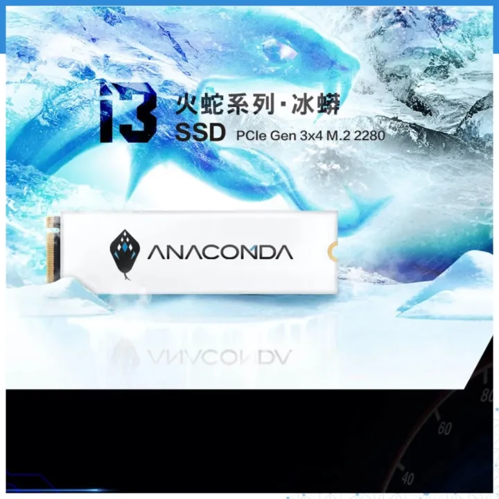 Anacomda%20256GB%20M.2%20NVMe%20PCIe%20Gen3x4%20Internal%20SSD%20-%20Image%203