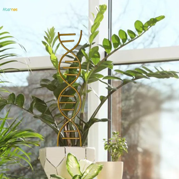 Plant%20Trellis%20Decorative%20Plant%20Cages%20Garden%20Trellis%20Flower%20Pots%20Support%20for%20Vegetables%20Vines%20-%20Image%208
