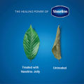 Vaseline 250ml / 100ml / 50ml Cocoa Butter Blueseal Rich Conditioning Jelly. 