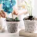 1Pc Flowerpot With Tray Planter Drainage Pots With Holes Transparent Orchid Pots Mystic. 