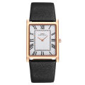 IBSO /Episino Authentic Watch Light Luxury Square Student Quartz Men's Watch Business and Leisure 2232. 